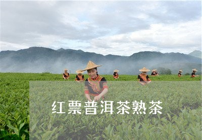 红票普洱茶熟茶/2023112638462