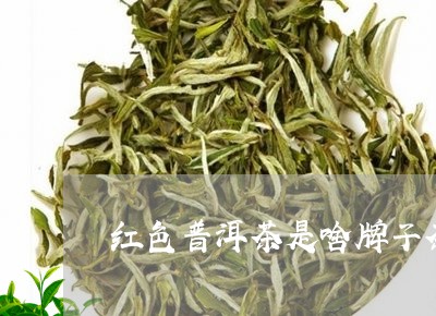 红色普洱茶是啥牌子茶好/2023083180491