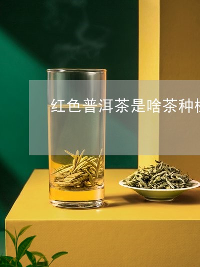 红色普洱茶是啥茶种植的/2023121850681