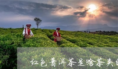 红色普洱茶是啥茶类的好/2023121884825