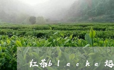 红茶blacka起源/2023071340594