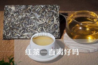 红茶一直喝好吗/2023042959621