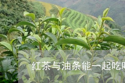 红茶与油条能一起吃吗/2023071340493