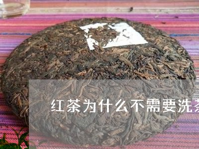 红茶为什么不需要洗茶/2023071462795