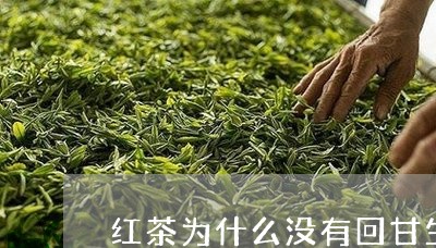 红茶为什么没有回甘生津的说法/2023060186147