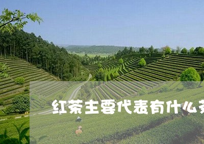 红茶主要代表有什么茶/2023071492617