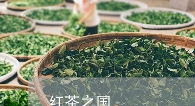 红茶之国/2023090161583