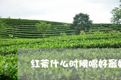 红茶什么时候喝好最好/2023071496068