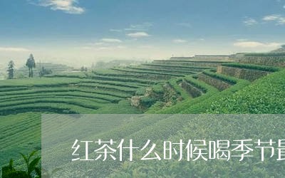 红茶什么时候喝季节最好/2023081094828