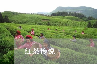 红茶传说/2023090206058