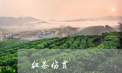 红茶伤胃/2023121934937