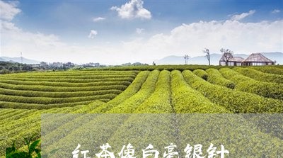 红茶像白毫银针/2023112447161