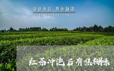 红茶冲泡后有焦糊味/2023042028260