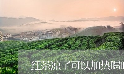 红茶凉了可以加热喝吗/2023071480768