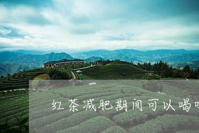 红茶减肥期间可以喝吗/2023060803028