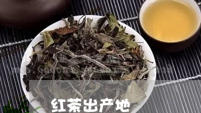 红茶出产地/2023121939491