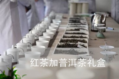 红茶加普洱茶礼盒/2023110862146