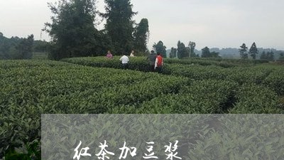 红茶加豆浆/2023090296150