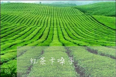 红茶卡嗓子/2023121971824