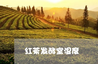 红茶发酵室湿度/2023042994390