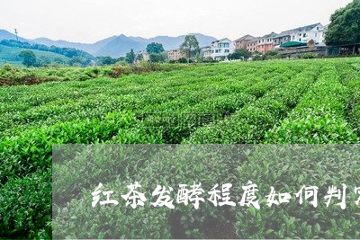 红茶发酵程度如何判定/2023071459594