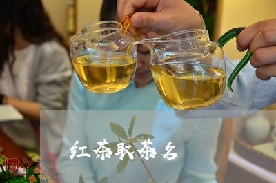 红茶取茶名/2023122064714