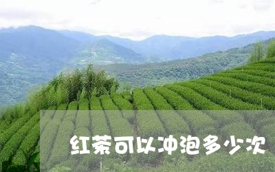 红茶可以冲泡多少次/2023042029725