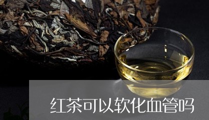 红茶可以软化血管吗/2023042072925