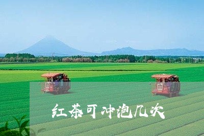 红茶可冲泡几次/2023042909924