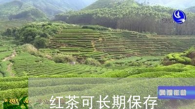 红茶可长期保存/2023042916663