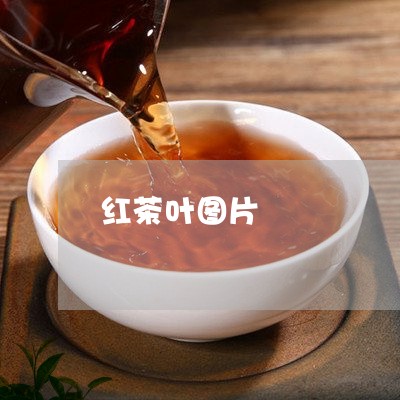 红茶叶图片/2023041870354