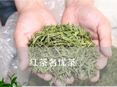 红茶名优茶/2023090205936