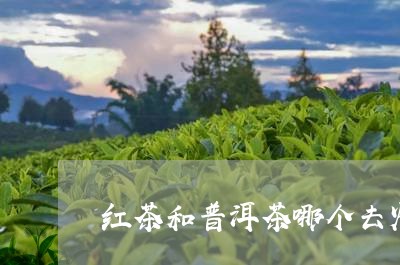 红茶和普洱茶哪个去火/2023100759514