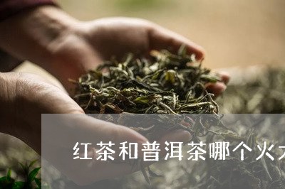 红茶和普洱茶哪个火大些/2023110841682