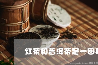 红茶和普洱茶是一回事/2023061402937