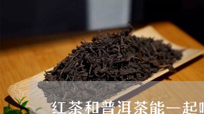 红茶和普洱茶能一起吗/2023072164925