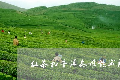 红茶和普洱茶谁能减肥好/2023050524028