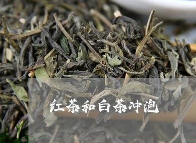 红茶和白茶冲泡/2023060869694