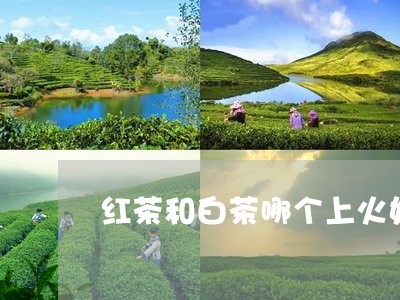 红茶和白茶哪个上火好消化/2023111097160