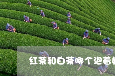 红茶和白茶哪个泡着好喝点/2023042656461