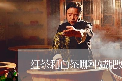 红茶和白茶哪种减肥好一点/2023111016150