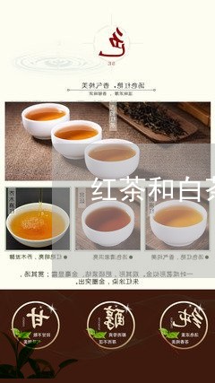 红茶和白茶的区别/2023071293616