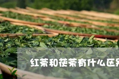 红茶和茯茶有什么区别/2023071400835