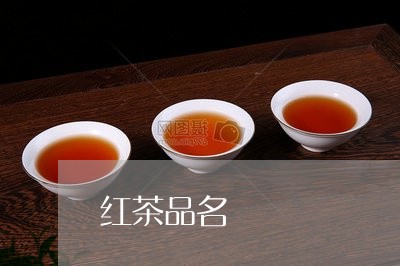 红茶品名/2023121975737