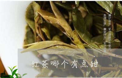 红茶哪个有点甜/2023042919383