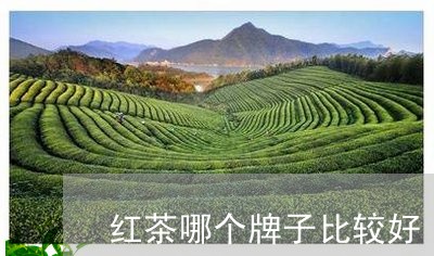 红茶哪个牌子比较好/2023042059282