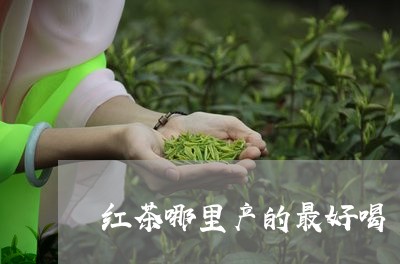 红茶哪里产的最好喝/2023042141947