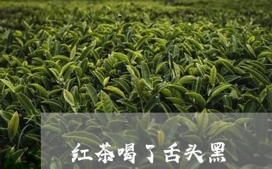 红茶喝了舌头黑/2023042906947