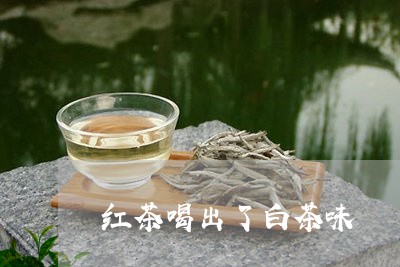 红茶喝出了白茶味/2023071288825