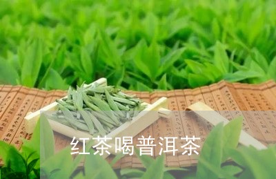 红茶喝普洱茶/2023042618657